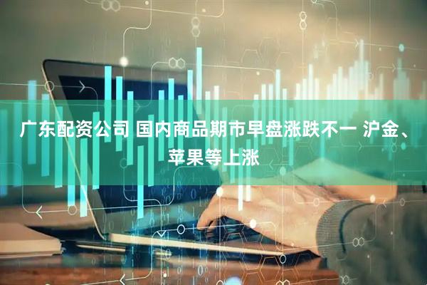 广东配资公司 国内商品期市早盘涨跌不一 沪金、苹果等上涨