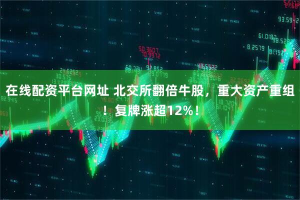 在线配资平台网址 北交所翻倍牛股，重大资产重组！复牌涨超12%！